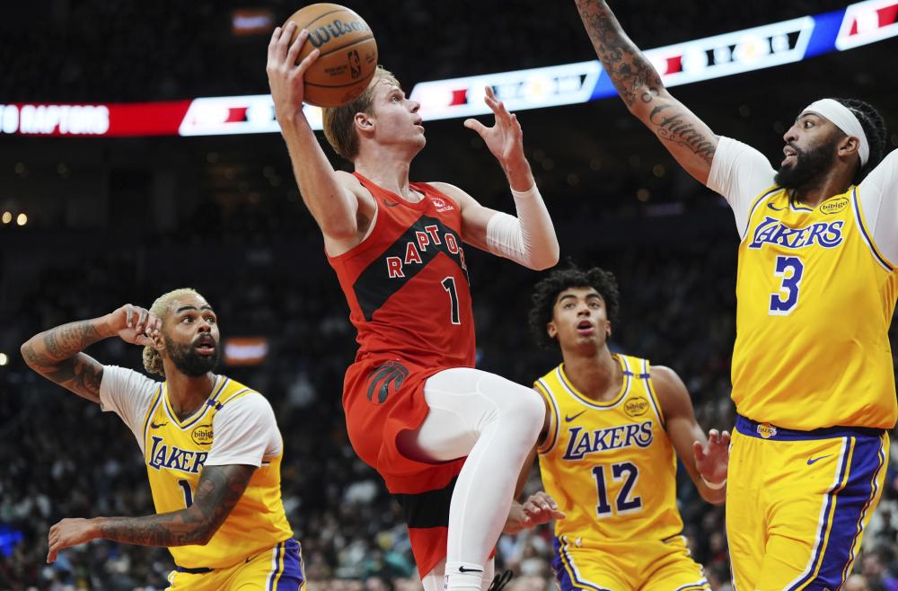 搏击圈的视 搏击圈的视